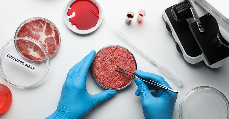 Credit: © AdobeStock/New Africa